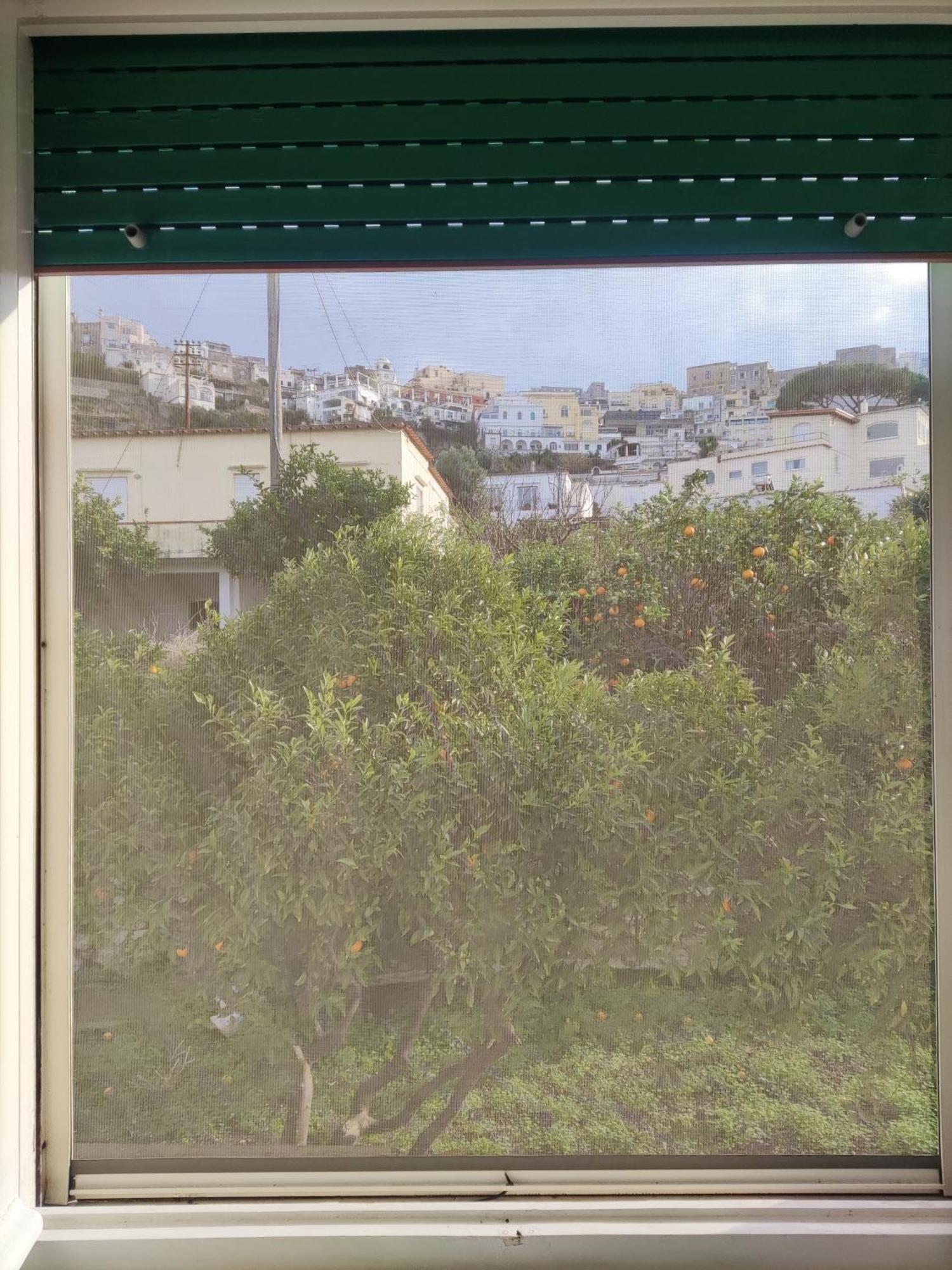 U' Pizzico Bed & Breakfast Capri Exterior photo