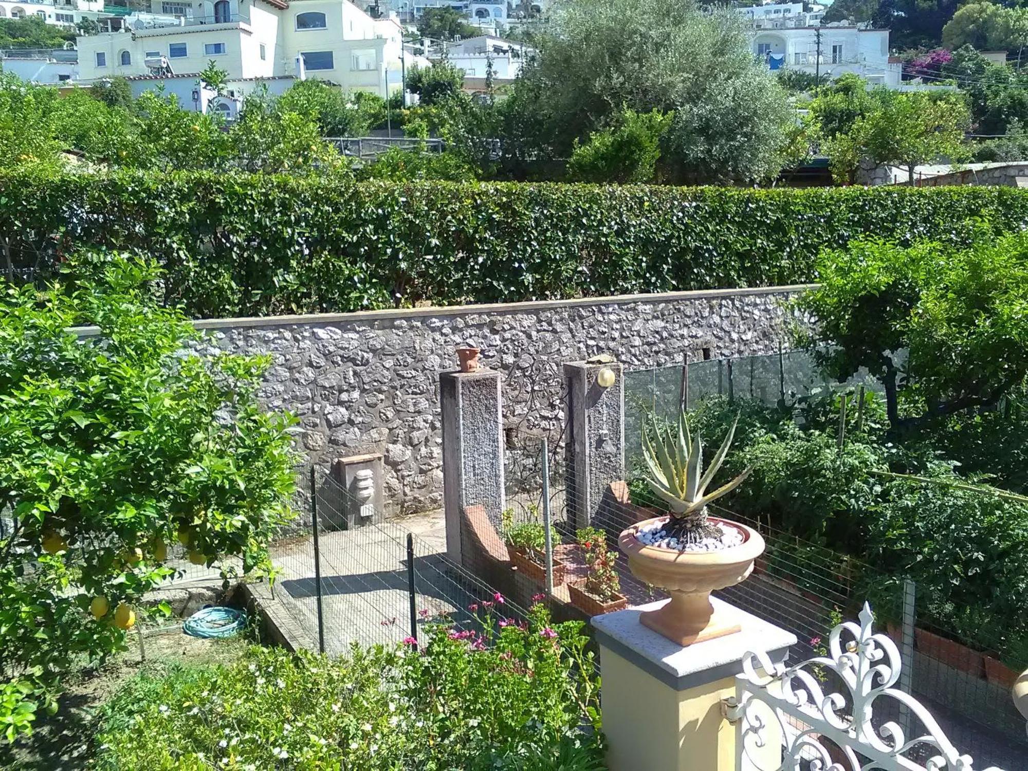 U' Pizzico Bed & Breakfast Capri Exterior photo